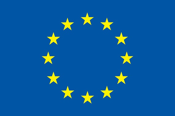 EU Flag logo